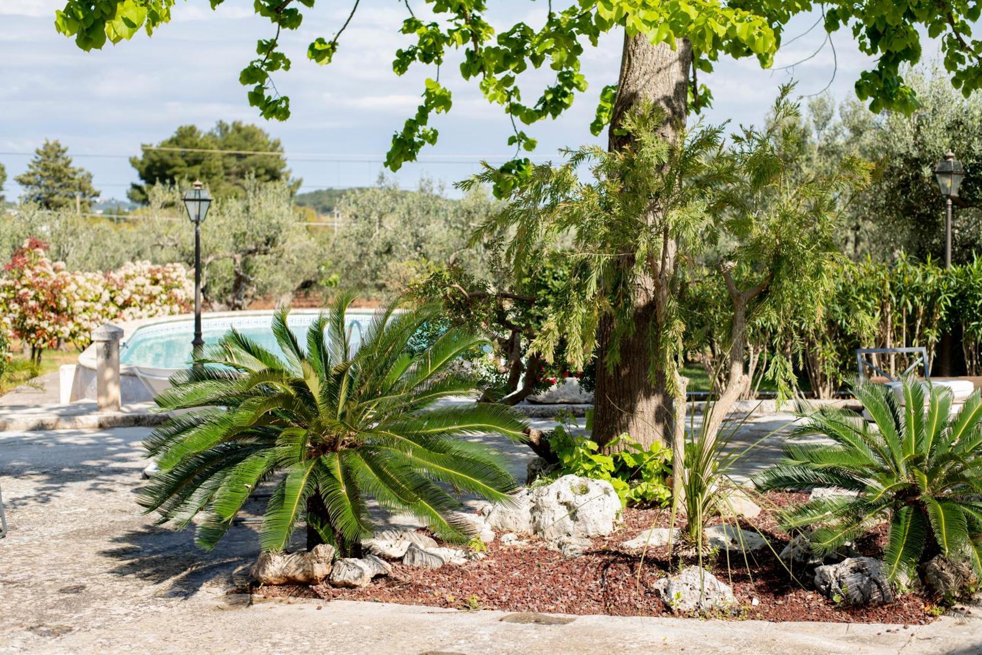 Masseria Trulli Bruni Locorotondo Buitenkant foto